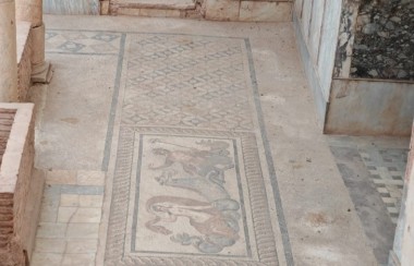 Terrace Houses in Ephesus