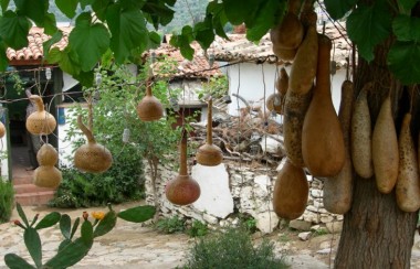 Ephesus & Sirince Village