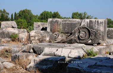 Priene, Miletos & Didyma