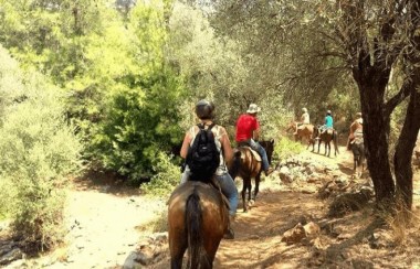 Kusadasi Horse Safari