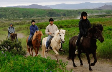 Kusadasi Horse Safari