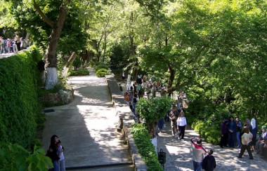 Discover Majestic Ephesus